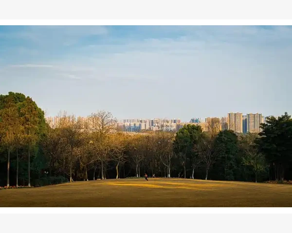 中医药：去寒湿的中药之道